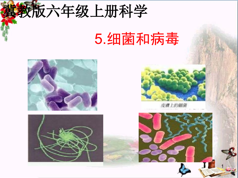 六年级科学上册第5课细菌和病毒-课件1冀教版_第1页