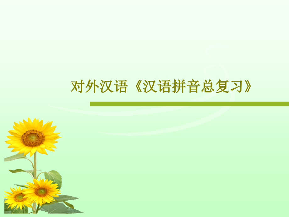 对外汉语《汉语拼音总复习》59张课件_第1页