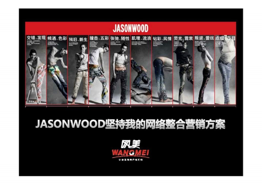 JASONWOOD坚持我的网络整合营销方案课件_第1页