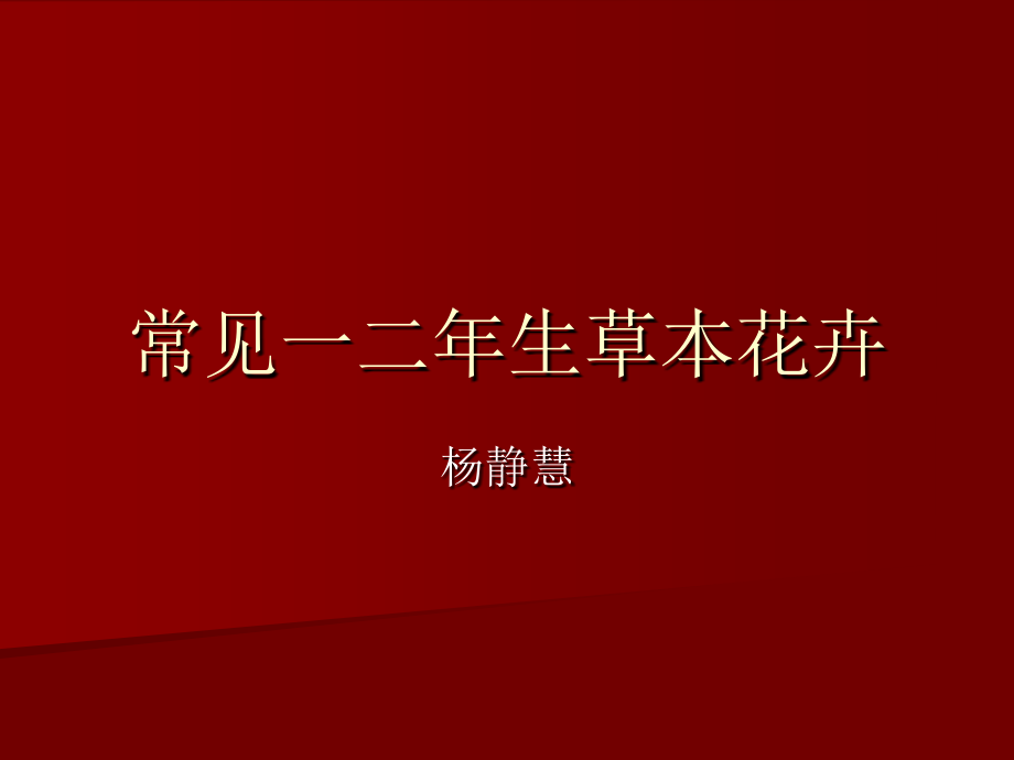 常见一二草本花卉课件_第1页