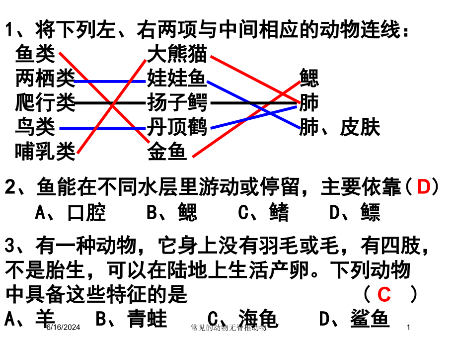 常见的动物无脊椎动物培训课件_第1页