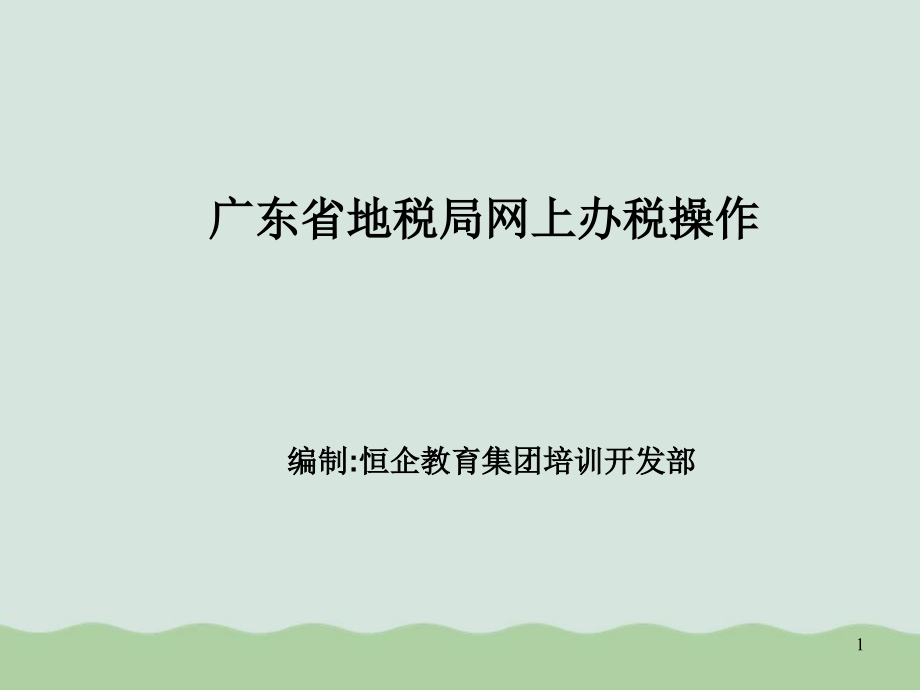 地税局网上办税操作课件_第1页