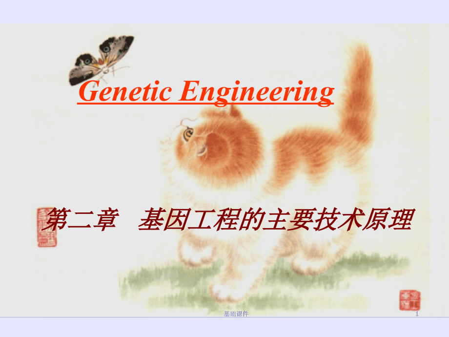 基因工程的主要技术原理（教资优择）课件_第1页