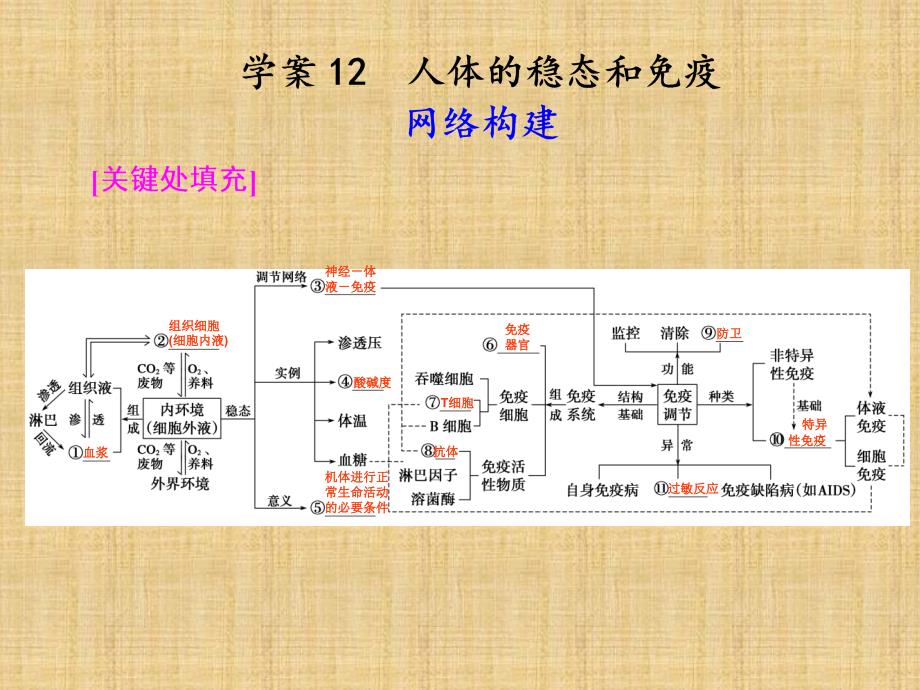 高考二轮专题复习-第一部分专题五-12人体的稳态和免疫人体的稳态和免疫名师精编ppt课件_第1页