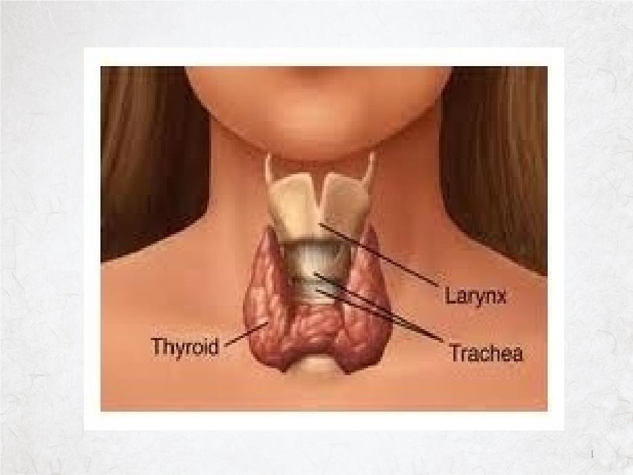 甲状腺切除术课件_第1页