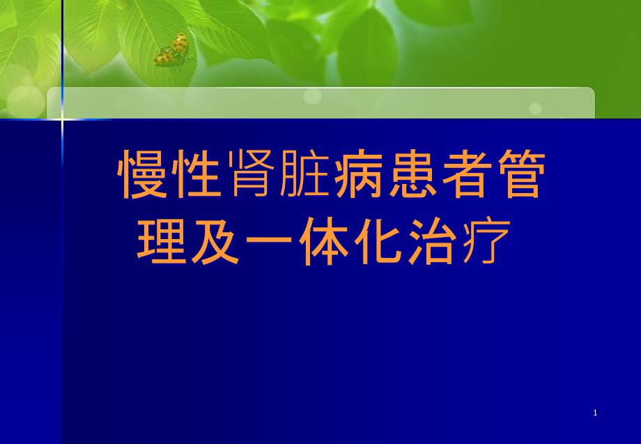 慢性肾脏病患者管理及一体化治疗课件_第1页