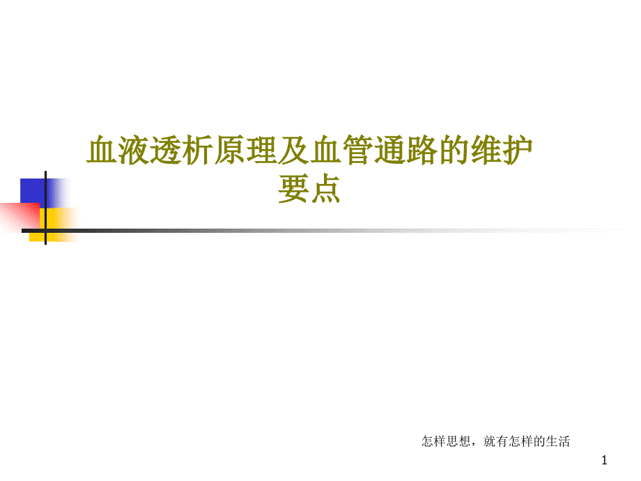 血液透析原理及血管通路的维护要点课件_第1页