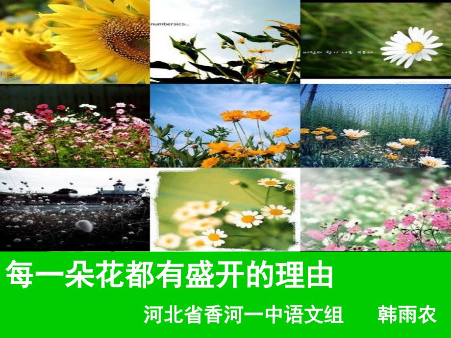 高中作文指导：每一朵花都有盛开的理由课件_第1页