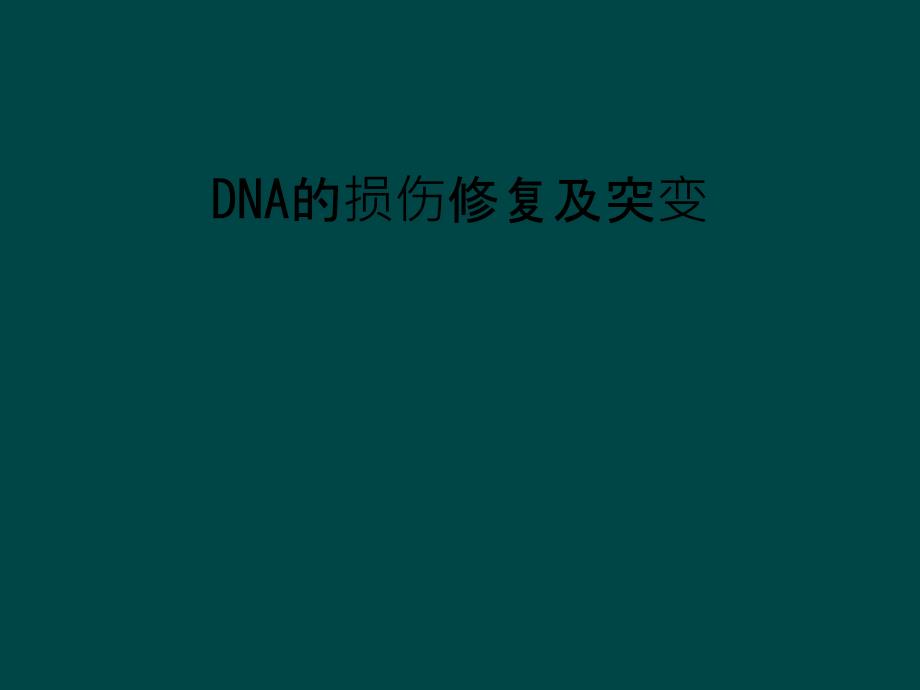 DNA的损伤修复及突变课件_第1页