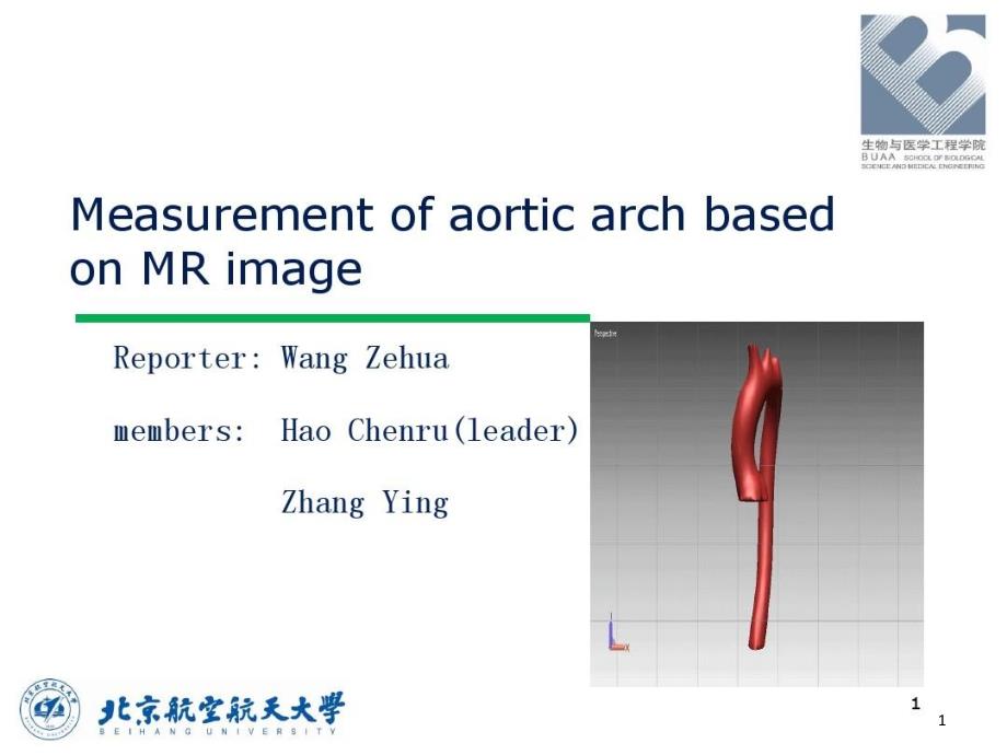 主动脉弓的三维重建及测量课件_第1页