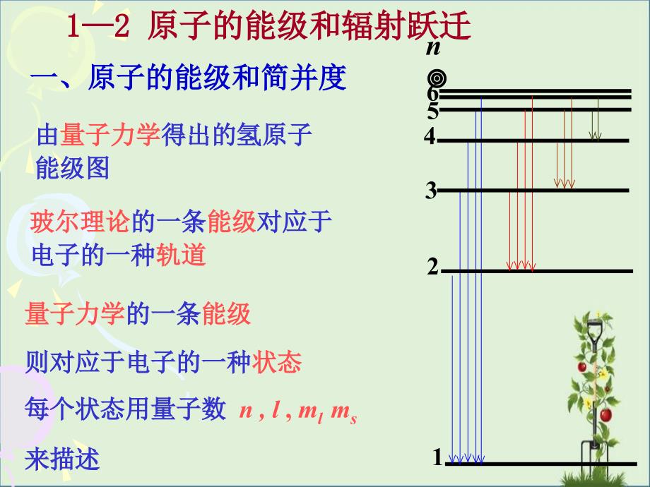 原子的能級和輻射躍遷解析_第1頁