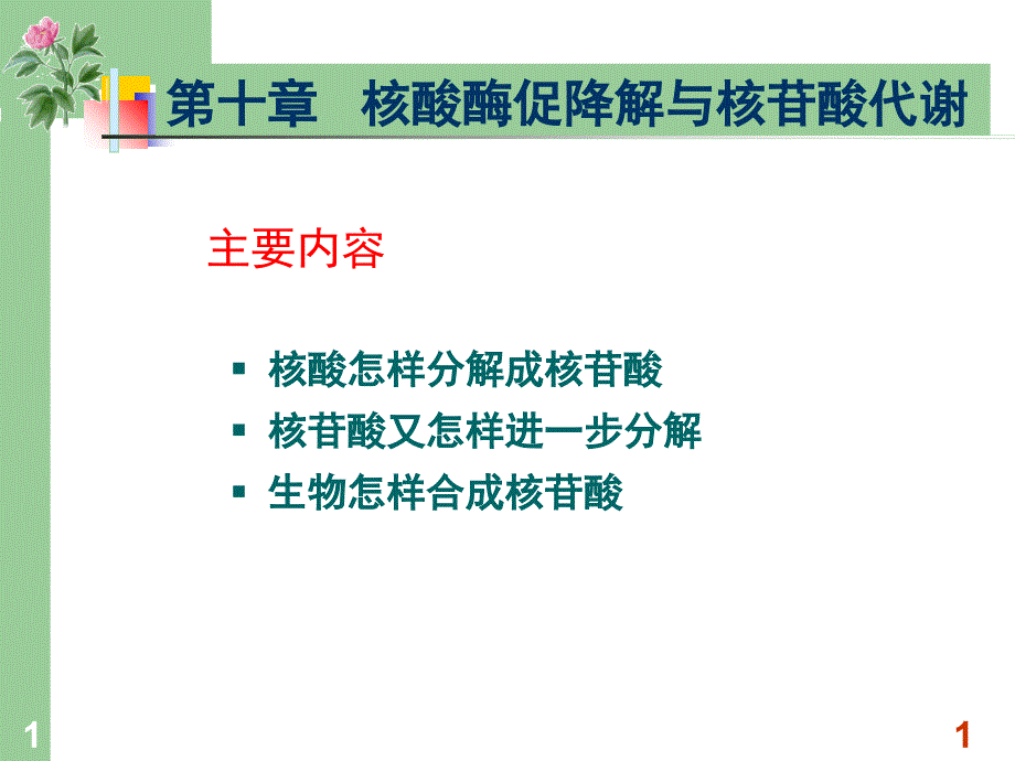 生物化学核酸酶促降解和核苷酸代谢课件_第1页