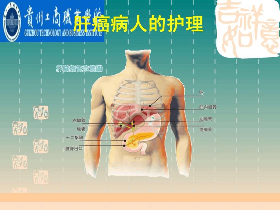 肝癌病人的护理课件_第1页