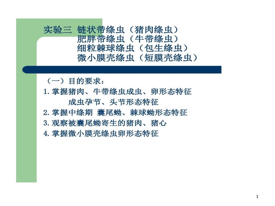 寄生虫第三次猪牛绦虫细粒棘球绦虫微小膜壳绦虫课件_第1页