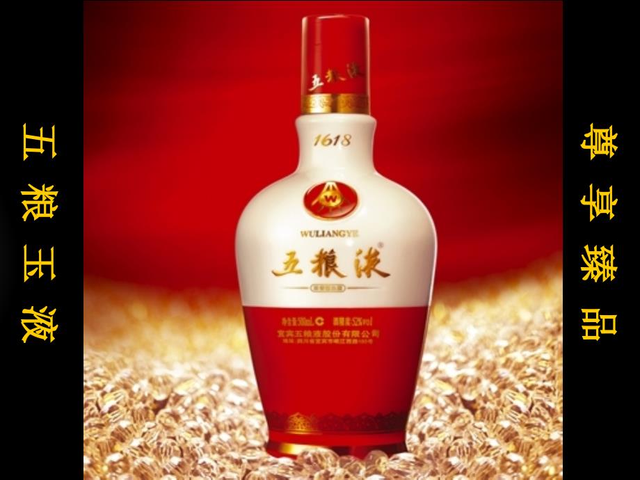 XXXX年五粮液白酒HONGJIU品鉴会策划方案_第1页