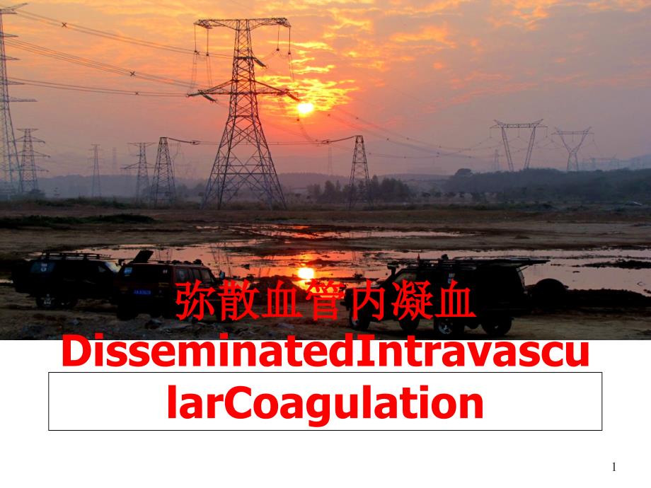 弥散血管内凝血DisseminatedIntravascularCoagulation课件_第1页