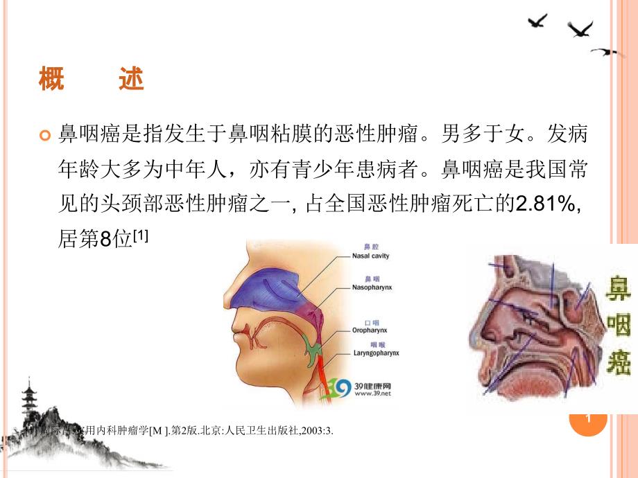 鼻咽癌患者放疗护理浅谈ppt课件_第1页