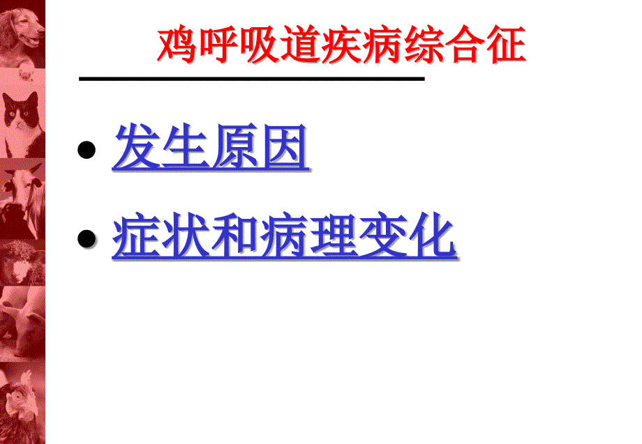 鸡呼吸道疾病综合征-课件_第1页