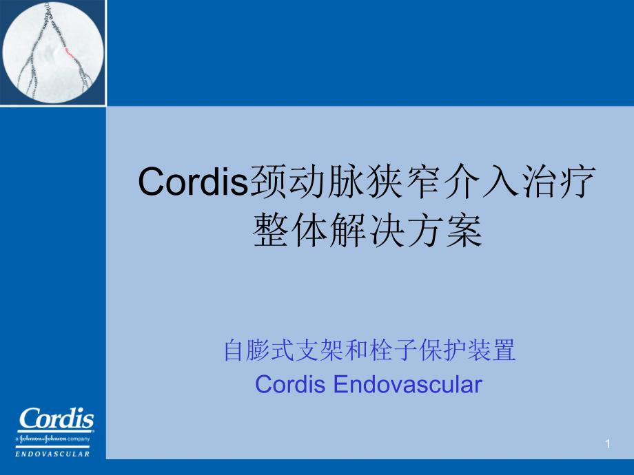 Cordis颈动脉狭窄介入治疗整体解决方案课件_第1页