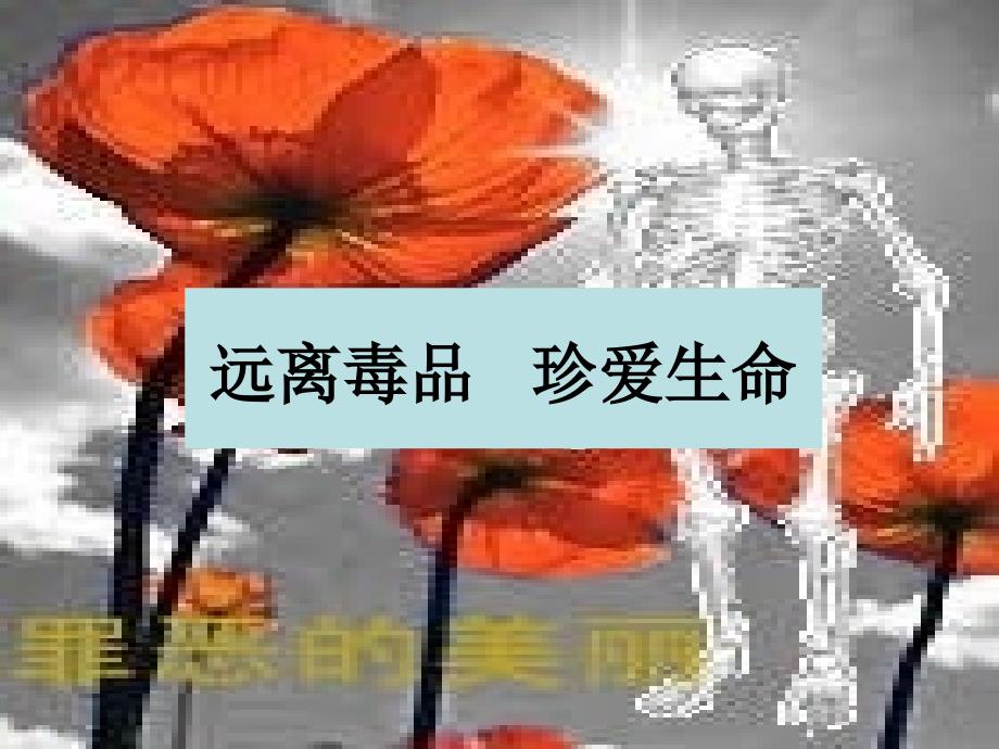 远离毒品珍爱生命_第1页