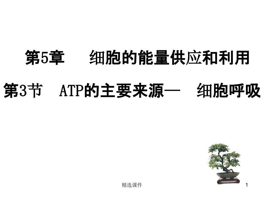 ATP的主要来源细胞呼吸本课件_第1页