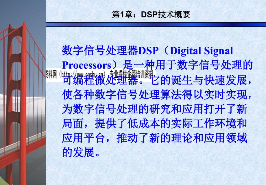 DSP系统与芯片的结构特点_第1页