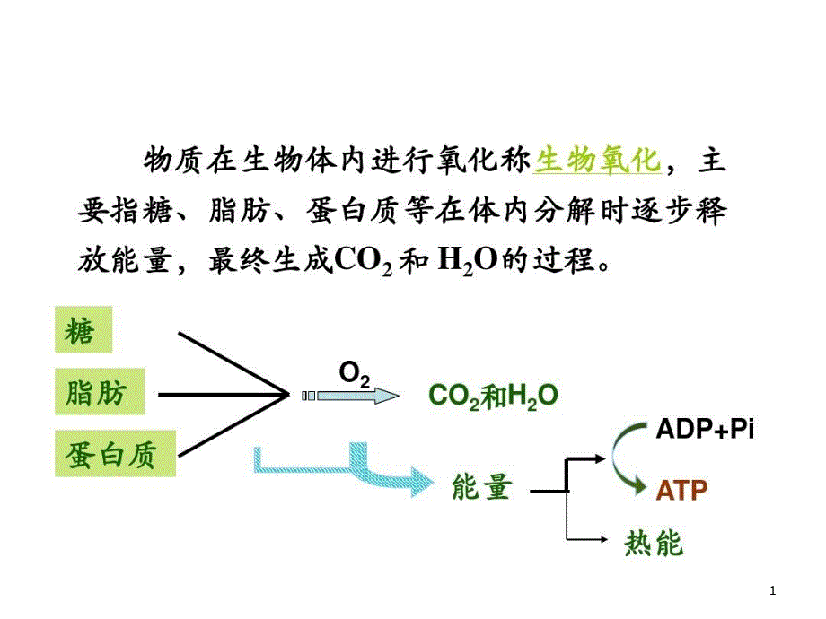 生物氧化级临床医学课件_第1页