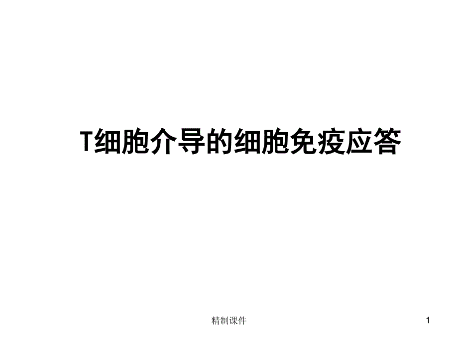 T细胞及其介导的细胞免疫应答课件_第1页