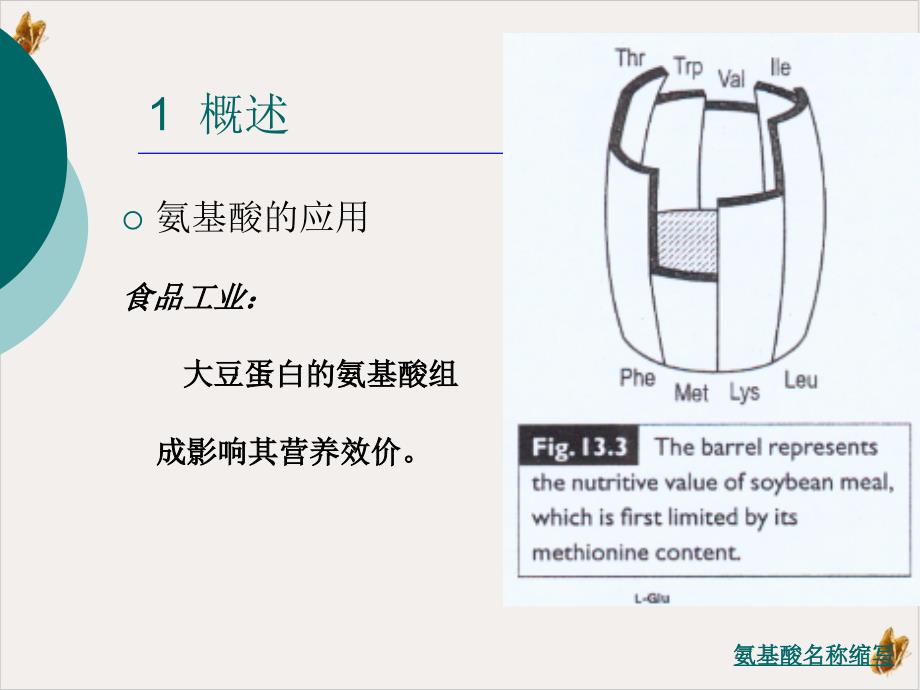 氨基酸发酵工艺课件_第1页