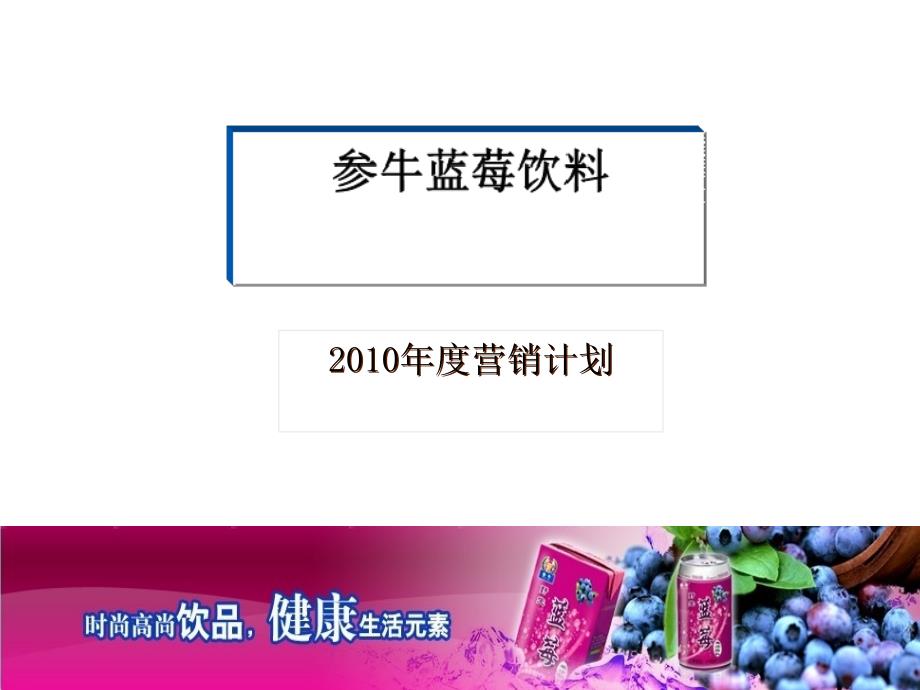 某蓝莓饮料年度营销计划研讨课件_第1页