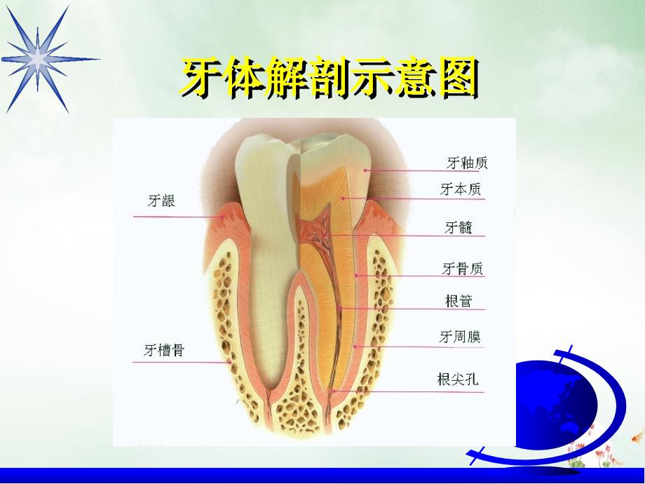 牙体缺损修复ppt课件_第1页