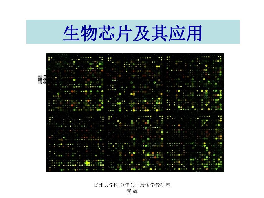 生物芯片及其应用讲义_第1页