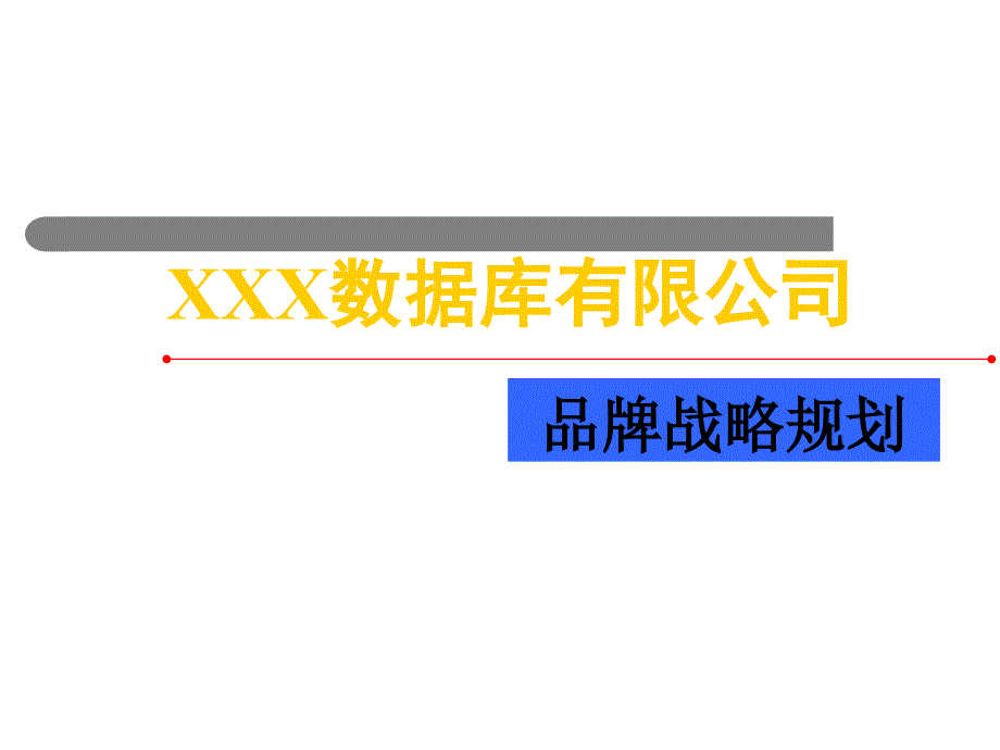 XX数据库有限公司品牌战略规划PPT66_第1页