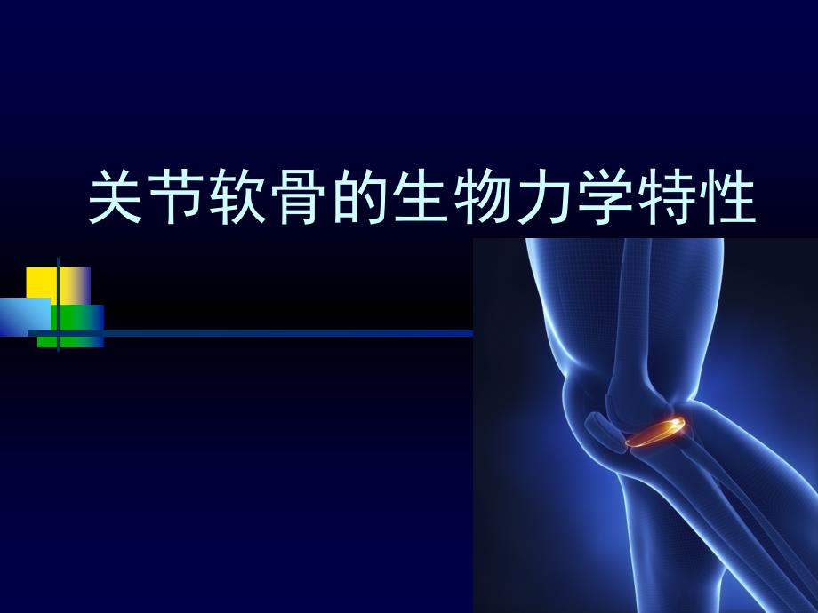 关节软骨的生物力学特性课件_第1页