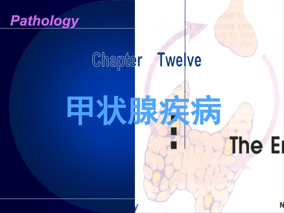 病理学(第八版)ppt课件内分泌系统疾病_第1页