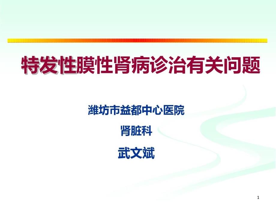 特发性膜性肾病诊治有关问题课件_第1页