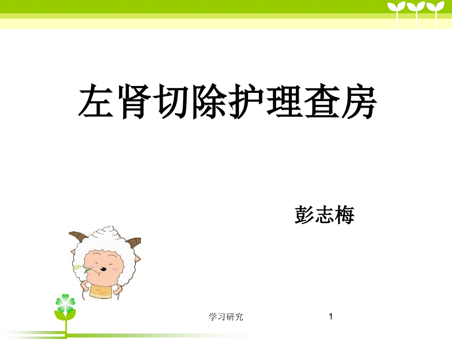 左肾切除护理查房(行业调研)课件_第1页