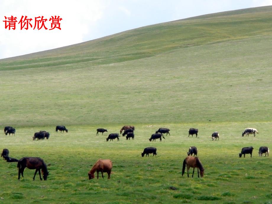 汽车刮水器及电动门窗_第1页