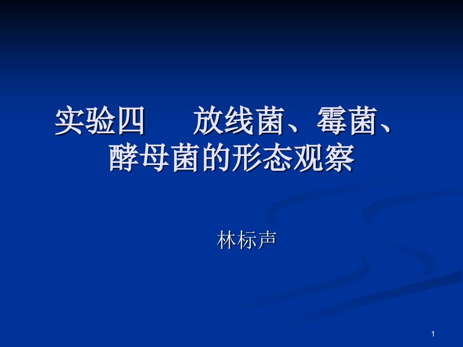 微生物实验四放线菌、霉菌、酵母菌的形态观察课件_第1页