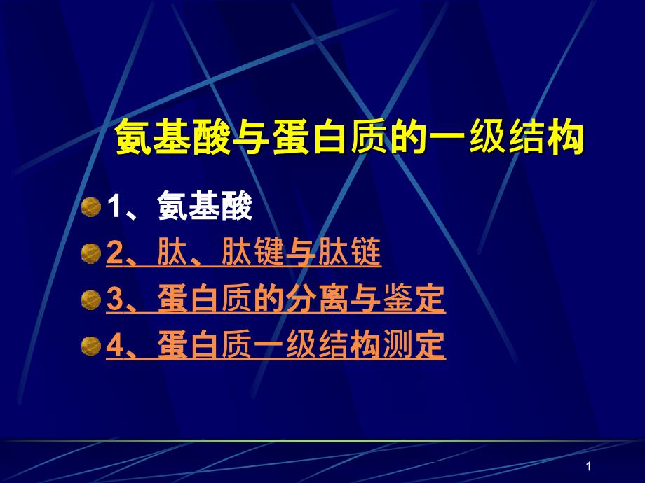 氨基酸与蛋白质的一级结构课件_第1页