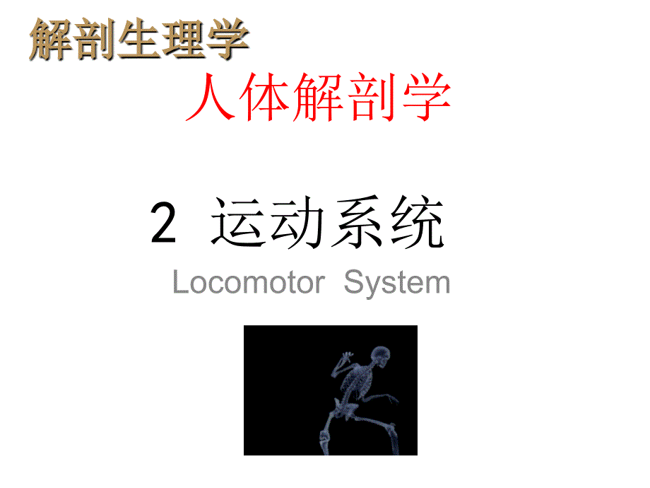 解剖生理学骨学课件_第1页