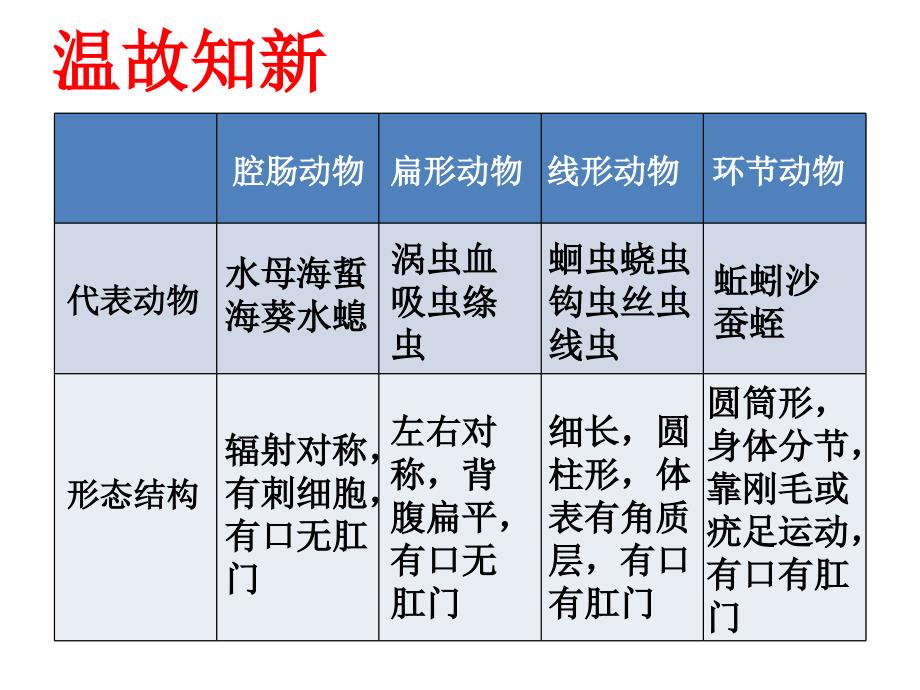 第三节软体动物与节肢动物 (3)课件_第1页