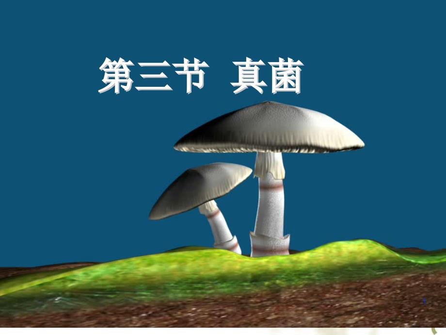 八年级生物《真菌》ppt课件_第1页