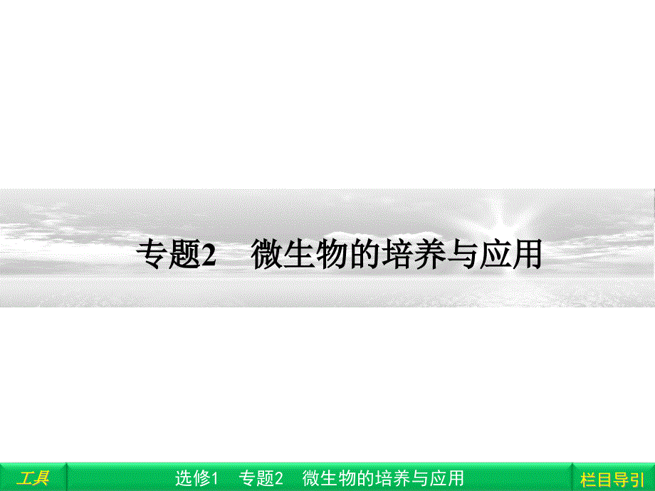 高三一轮复习2012-专题2-微生物的培养与应用ppt课件(高三复习)_第1页