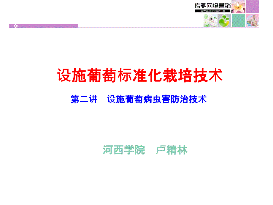 设施葡萄标准化栽培技术讲座-病虫害防治课件_第1页