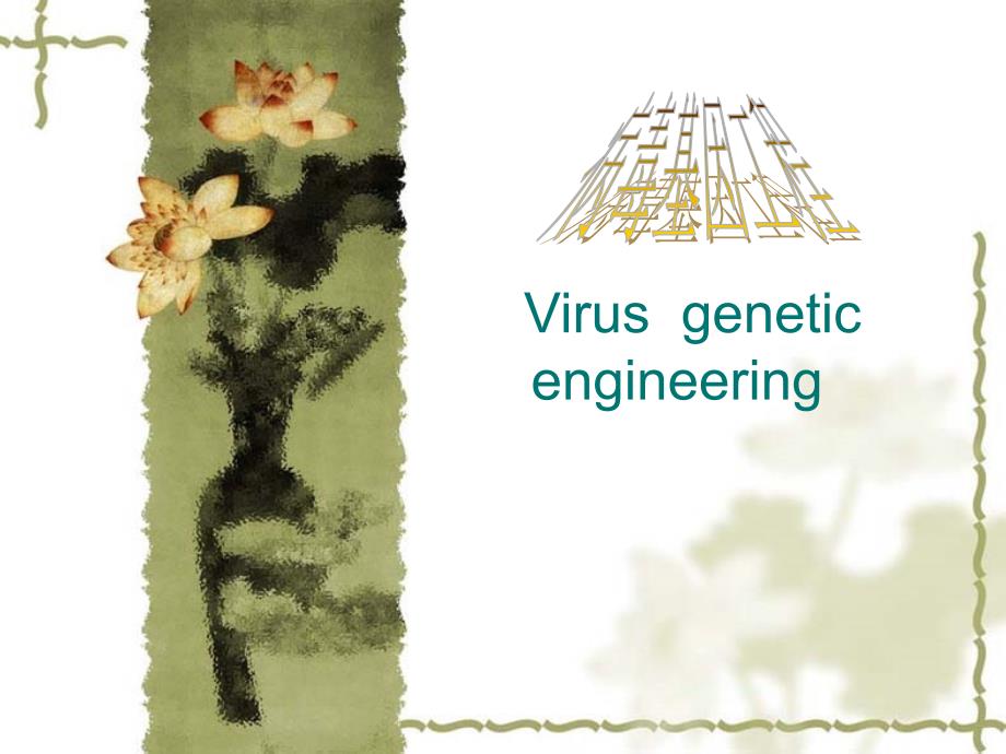 病毒基因工程课件_第1页