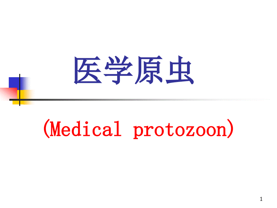 医学原虫课件_第1页