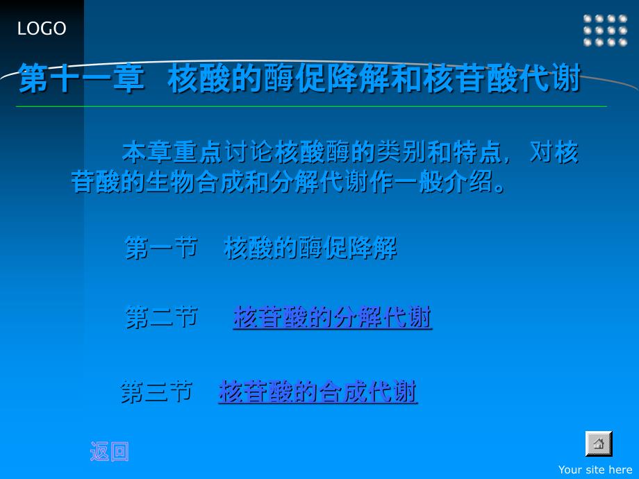 核酸的酶促降解和核苷酸代谢课件_第1页