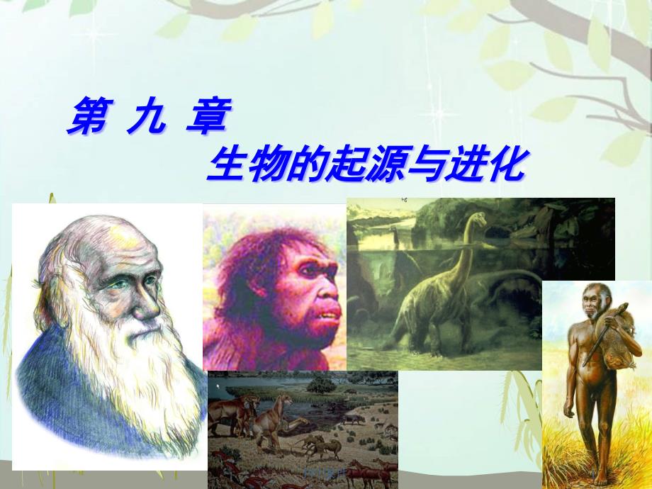 《普通生物学》生物的起源与进化课件_第1页