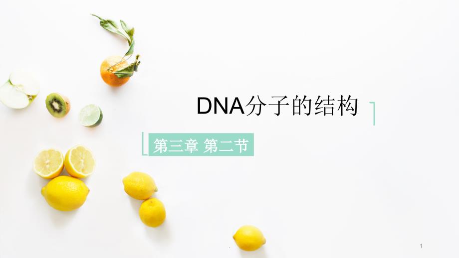 DNA分子的结构(优质)课件_第1页